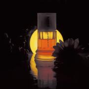 Photo by fabrice1977