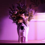 Photo by khalidbloom