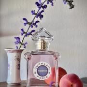 Insolence Eau de Toilette Guerlain 香水- 一款2021年女用香水