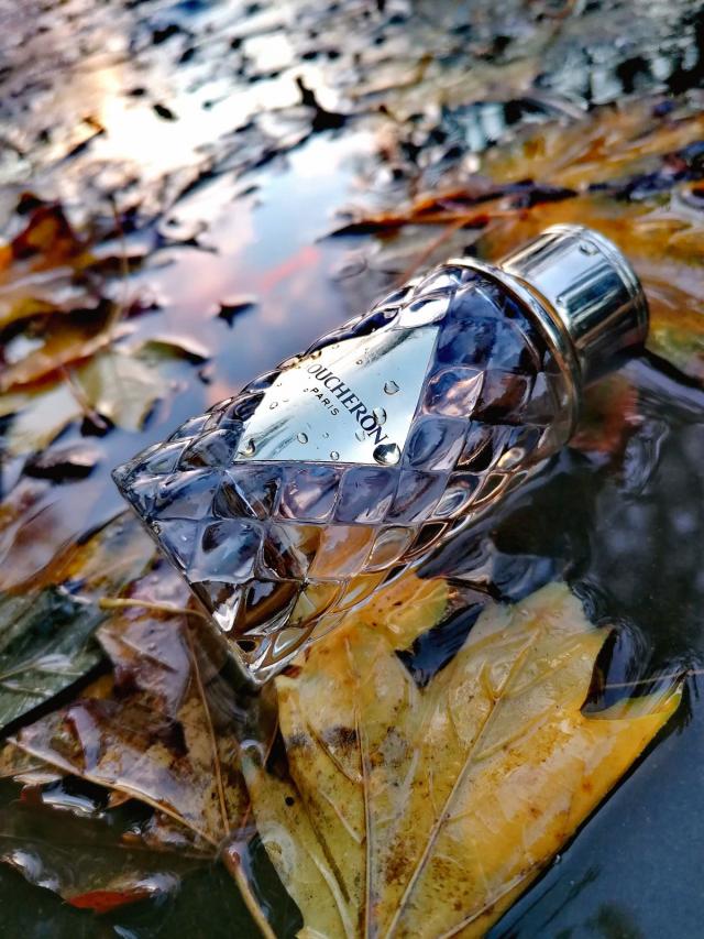 Petrisha This perfume was made for rainy days. It´s warm and feminine