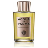 Colonia Intensa Acqua di Parma cologne - a fragrance for men 2007