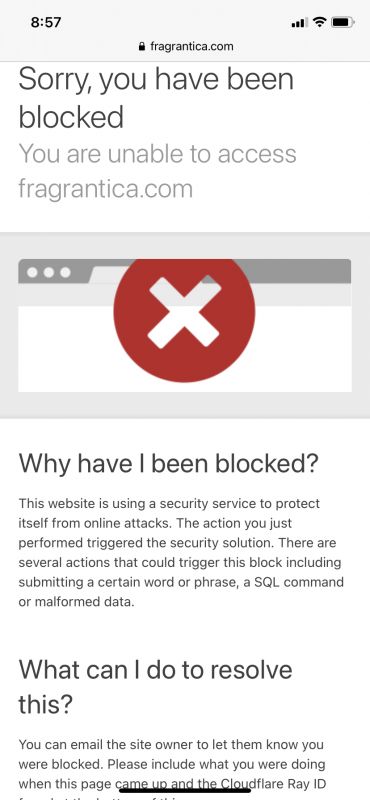 I Got A Sorry You Are Blocked Message Page 1 Fragrantica Fragrantica Club