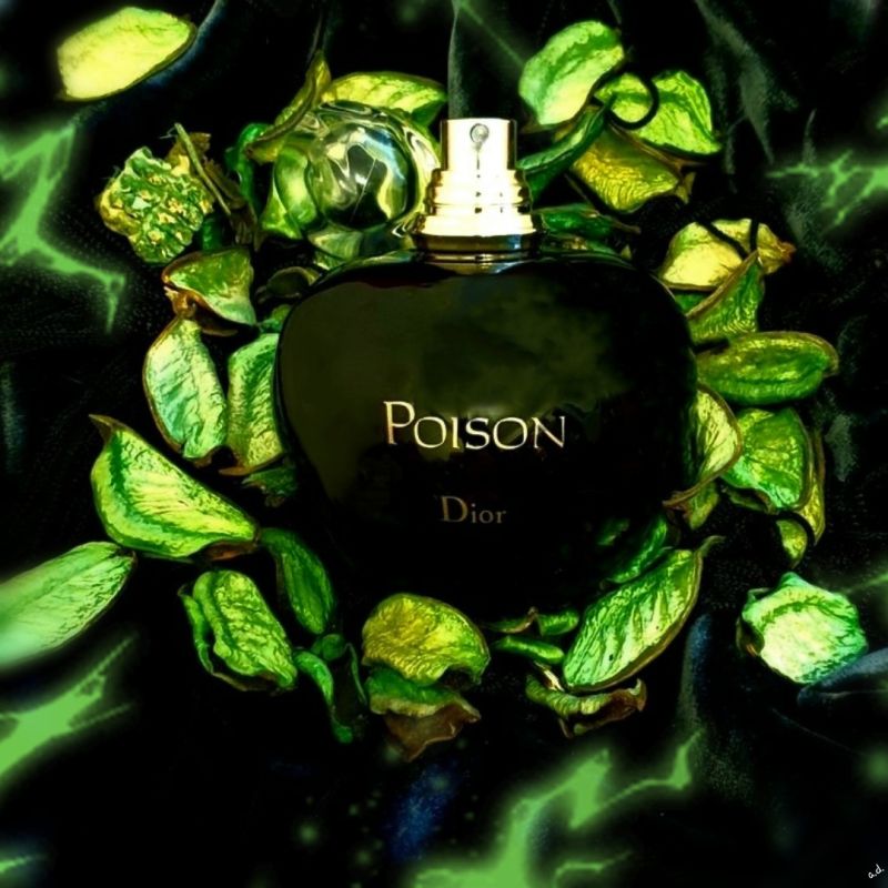 Photos of Your Fragrances Page 16 General Perfume Talk