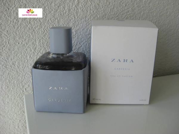 Zara Dupes (Page 1) — Perfume Selection Tips for Women — Fragrantica Club